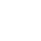 okking icon thethao